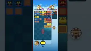 Dr. Bowser vs Dr. Bowser: Dr. Mario World