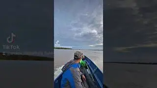 AURA FARMING ❌ AURA FISHING ✅ #mancing #mancingmania #mancingudanggalah #shorts #viral