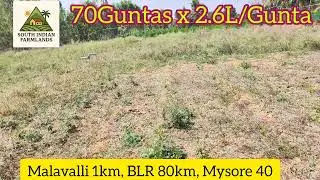 1Acre 30guntas of farmland for sale near Malavalli at 2.6L/Gunta(Final ) ping on 8152943766