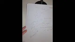 محاضره الاحياء الدقيقة العامه رقم ١٢ جزء ٢ Bcell