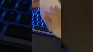 Random Tutorials: How to put tissues on a keyboard