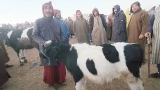 🇲🇦خيرات موجودة في سوق الأسبوعي تلات لولاد فيني نقدم لكم أتمنة بكرات تاريخ تصوير 10/12/2024
