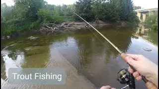Rouge River Toronto Trout Fishing - First Gopro Video Test
