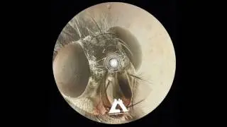 Rawness - Reflecting Lights [Act-fact Records]
