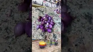 👉 Brewine Garlic & Onion Peeler | Demo & Review | Eswaran Appliances #cookingmadeeasy #kitchen