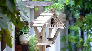 How to make DIY wooden bird feeder from old pallets