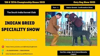 Эп_03 Индийские аборигенные породы на ринге | Выставка собак в Ути 2025 #kombaidog #rajapalayam #...