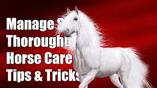 How do I manage shedding in Thoroughbred horses?