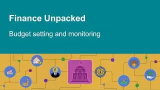 How are local government budgets set and monitored?