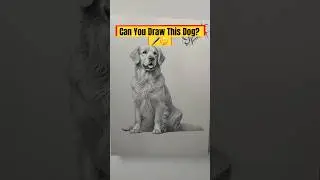 7 Levels of Dog Drawing - From Sketch to Pro #shorts