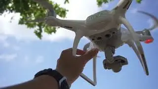 Spectacular Landing of Birds Helicopter Aircraft and