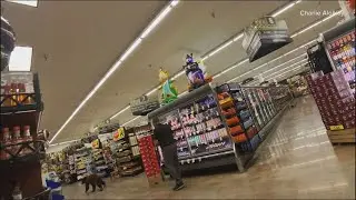 Caught On Camera: Bear runs loose in Arizona grocery store