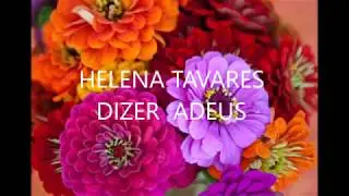 HELENA TAVARES DIZER ADEUS