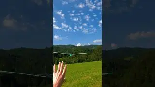 Full Carbon RC DLG