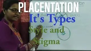 PLACENTATION l it's Types l types of style l what is stigma