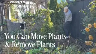 Transplanting a Tree and Removing a Butterfly Bush: A Garden Bed Shuffle || Visit Our Garden