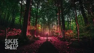 Kiiara - Feels (AWAY Remix)