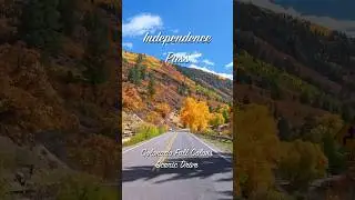 Peak Fall Colors on Independence Pass Colorado
