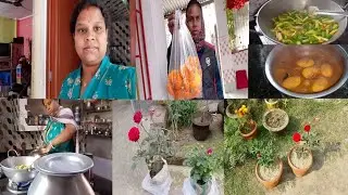 শরীর খারাপ যেন পেছন ছাড়ছে না,বর মসাই আমাকে দিলো দুটো উপহার।#shyamali blog #banglvlog ☘️✅