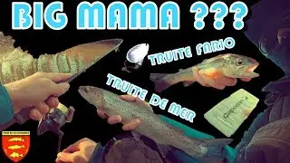 Pêche de la TRUITE DE MER : à la recherche de la Big Mama....