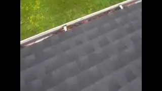 How Clogged Gutters Cause Soil Erosion