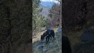 Taking your family up a mountain without telling them | Monte Cocuzzo, Italy #backpacking #mountains
