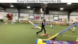 2025 11 9 Rusty runs agility