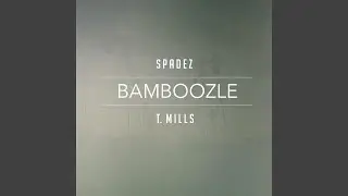 Bamboozle (feat. T. Mills)