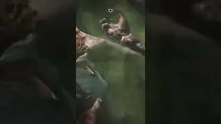 #funnymoments #gaming #funnyvideo #лучшиемоменты #gameplay #лучшиеприколы #games #funny