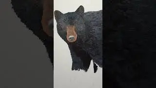 This time I painted the bear first 🐻🎨🖌️