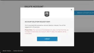 Submitting Your Request To Delete Your Epic Games Account - Nov 23, 2021