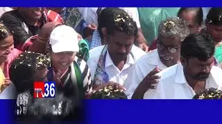 YCP Candidate  Sucharitha election campaigning at Yanamadhala , Prathipadu . ll indiatv36 ll