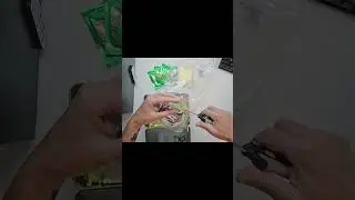 Empire of Dirt / Fishroom Punks unboxing