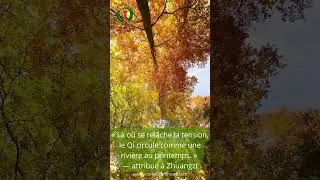 L&agrave; o&ugrave; se rel&acirc;che #citation #qigong #bretagne #touraine #qigongmaster #masterclass #formation #zen