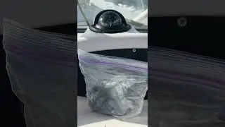 Deviation Demo