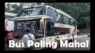 Trip Keluarga Naik Bus Sembodo || Bus Paling Mahal ke Ranah Minang