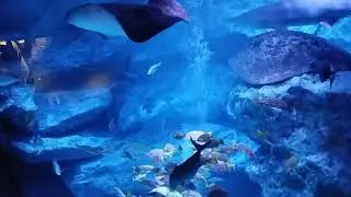 VID 20241111 120609