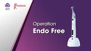 Woodpecker / DTE Endo Motor: Endo Free (Operation Demonstration) #woodpeckerdental #endodontics