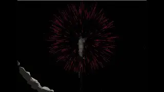 FIREWORK MANIA #fireworks #mania #fyp