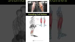 Learn How To Do Standing Calf Raises Properly 🔥🔥💯#shorts #viral #calfworkout