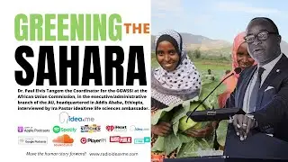 Green Wall: How to Green the Sahara