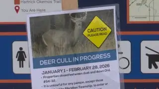 Meridian Township begins phase two of deer management program