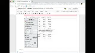 Loading R Datasets into D-Tale using jupyter