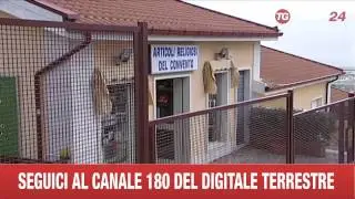 PRESUNTI ABUSI  S G ROTONDO   LA CASA E ALTRE REAZIONE