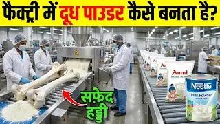 देखिए फैक्ट्री में मिल्क पाउडर कैसे बनाया जाता है | Milk Powder Manufacturing Process