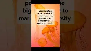 World Oceans Day 2025 | UN Oceans Conference| #upsc #upscprelims #environment #biodiversity