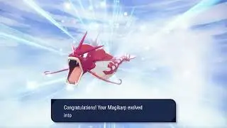✨ Evolving a shiny Magikarp to Gyarados - Pokemon Legends ZA