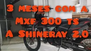 Relato 3 meses com a mxf 300 ts, a Shineray 2.0