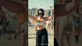 🎉🌴 Tenerife Cook Music Fest 2025: M&uacute;sica, Sabor y Magia en el Coraz&oacute;n del Verano ☀️🎶