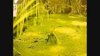 Christian Chevalier & Alan Feanch - light breeze